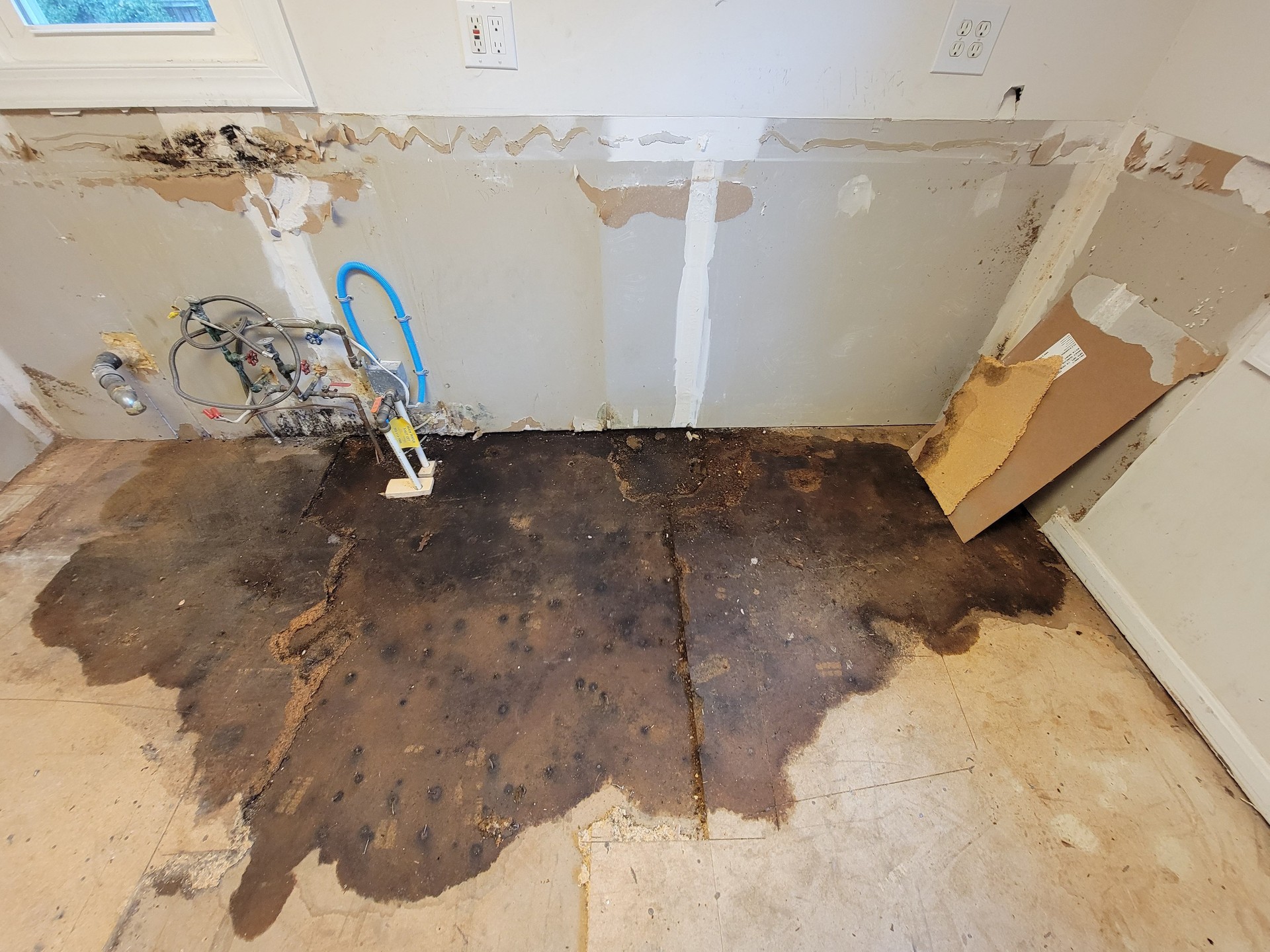 leak on kitchen floor found during construction